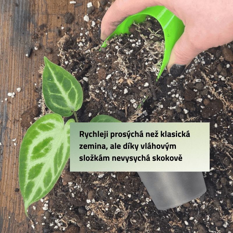Mix č. 6 Pro mini rostlinky
